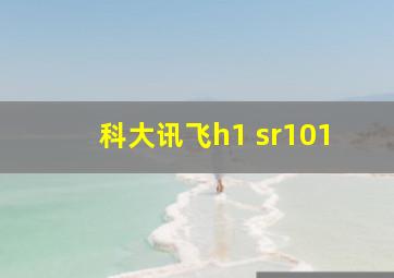 科大讯飞h1 sr101